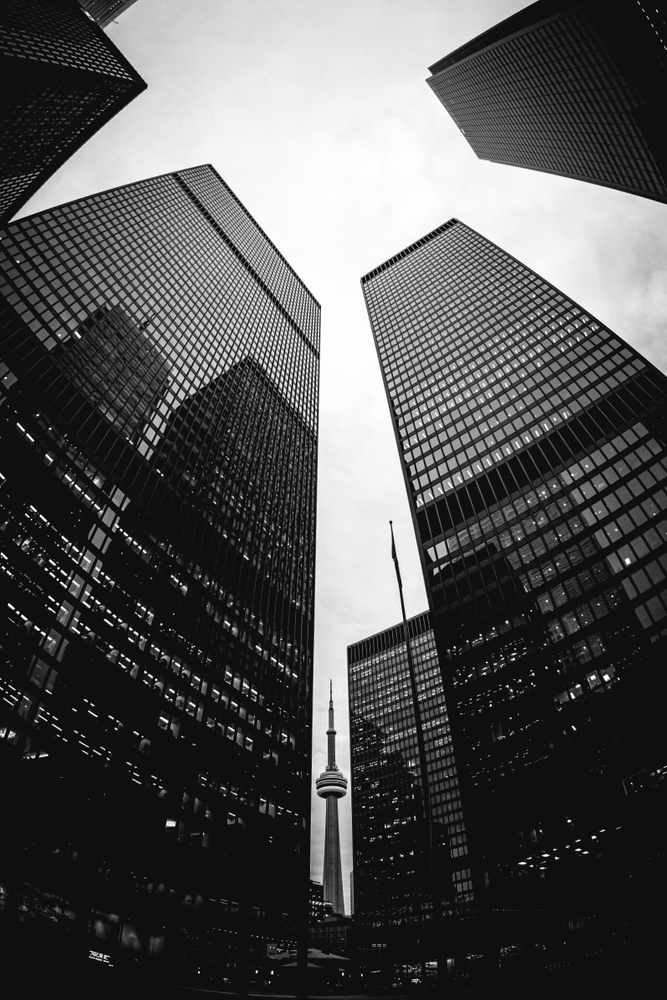 Black and White Lense Culture 2020 Submissions