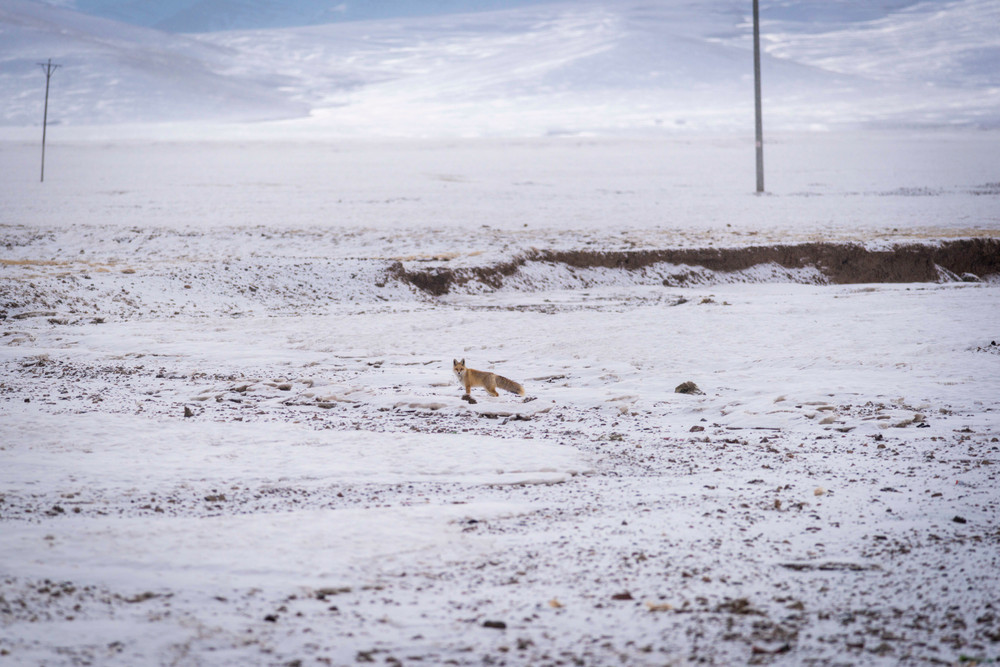 Namtso: No Man's Land