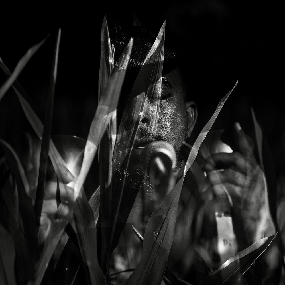 Series: Motion, Emotion – Music in Time and Space