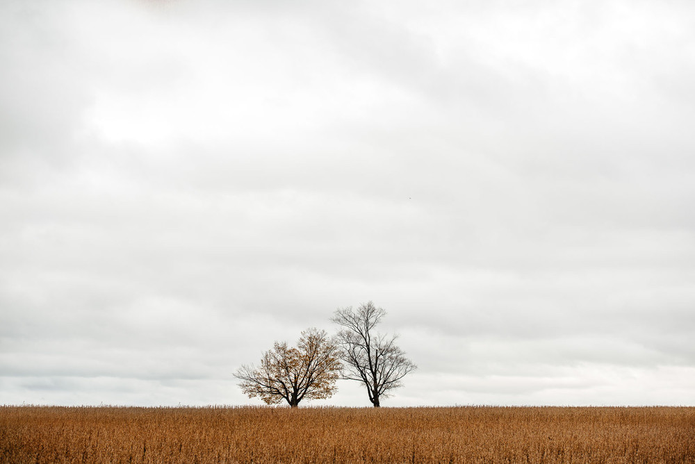Photo by Nina Tsarykovich