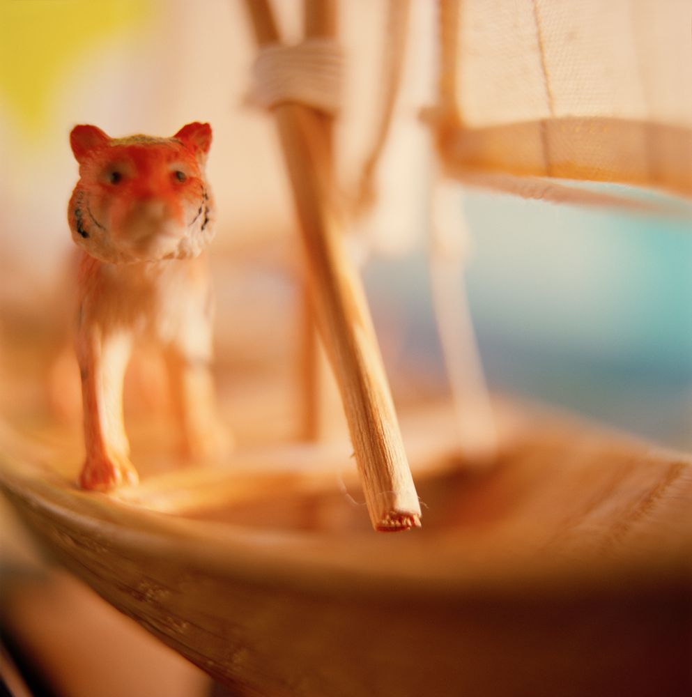 The Allegory of Tigers