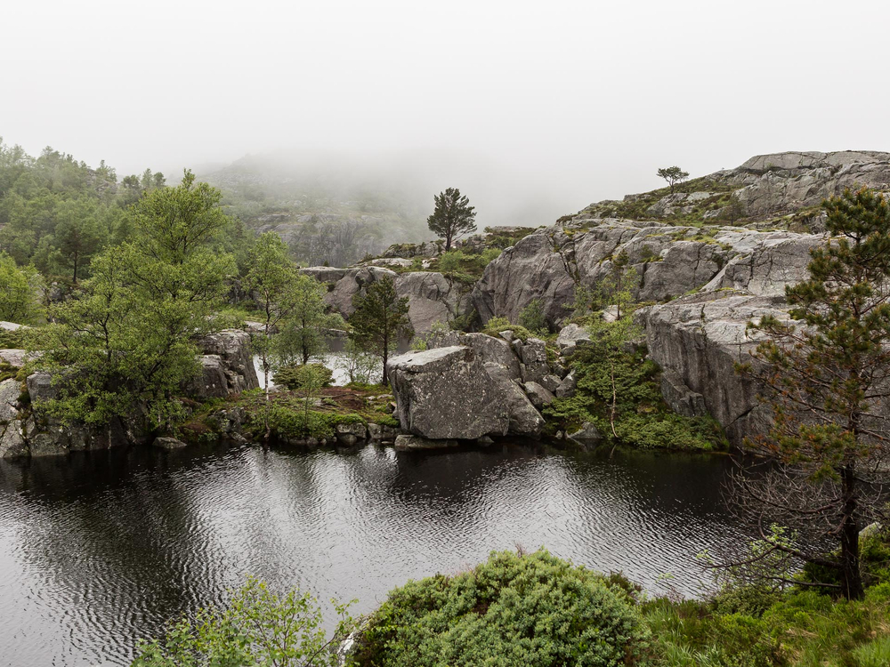 Mitch Lyons Photography