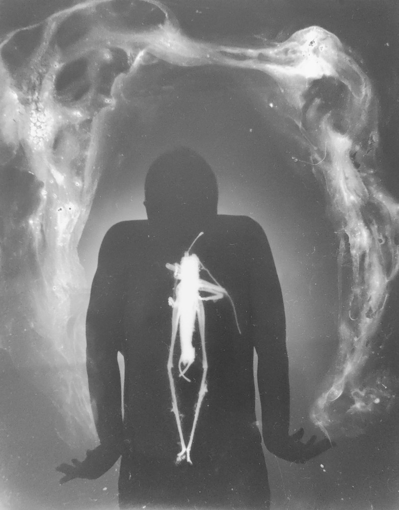 Alchemy of souls