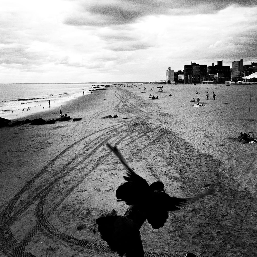 One day in Coney Island