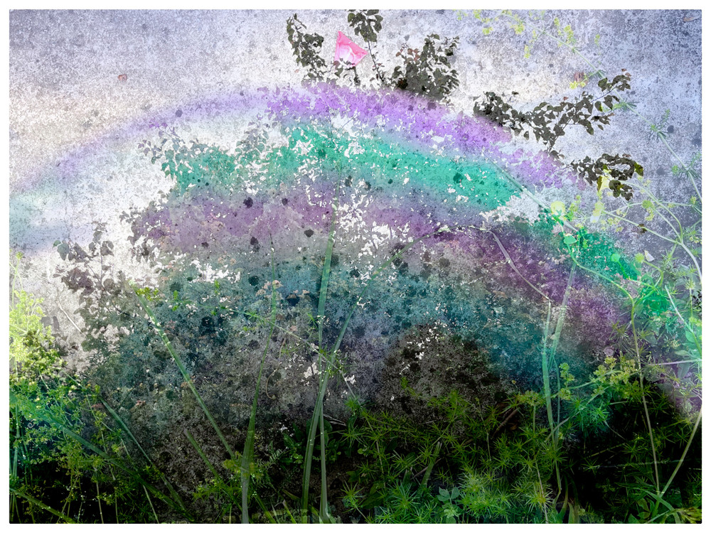 Surfaces