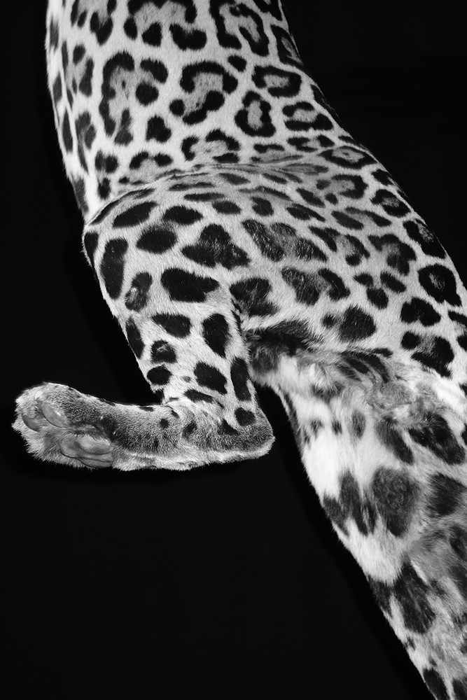 Fragments