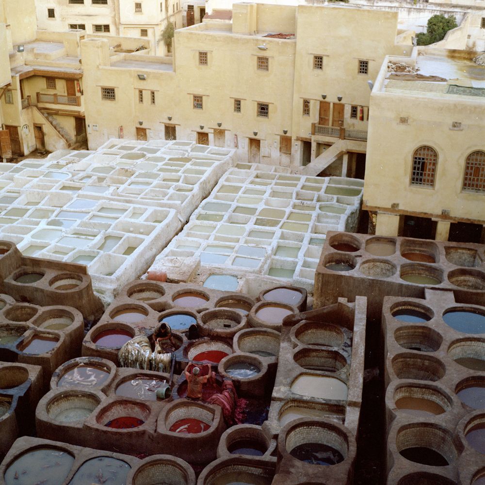 MEDINA