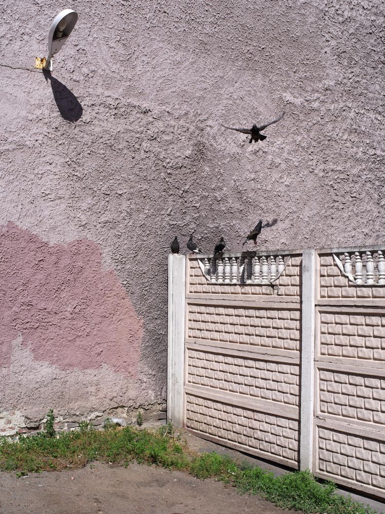 Sankt Petersburg *2015