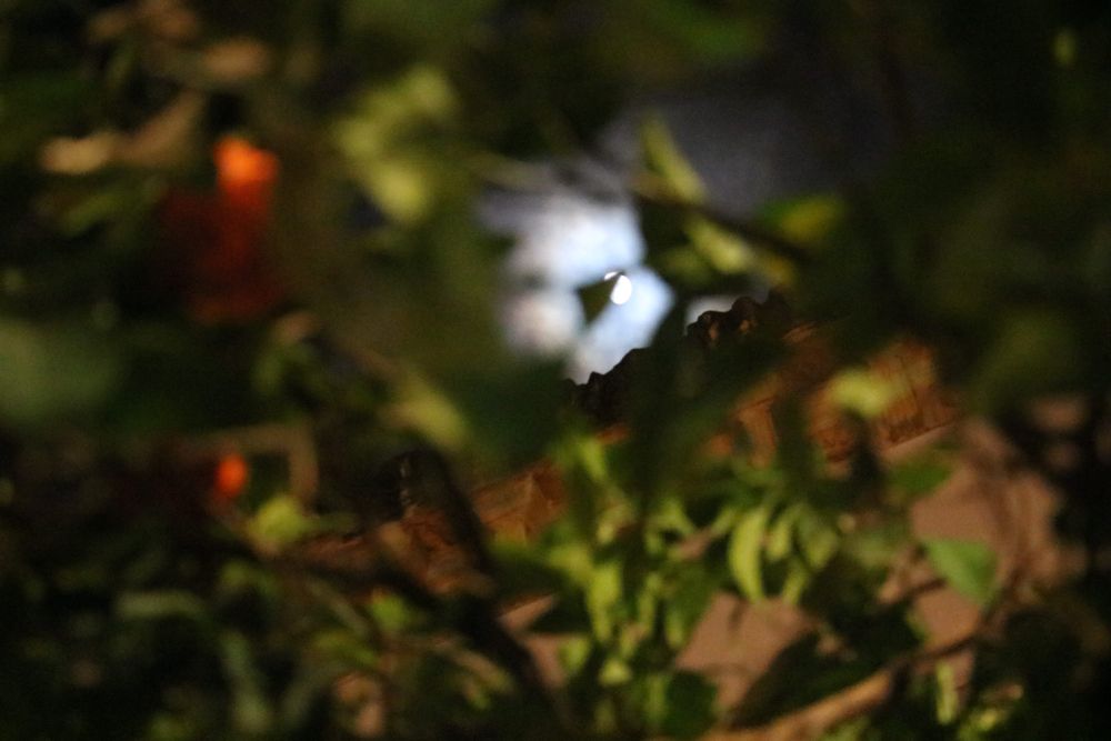 Moon Stories