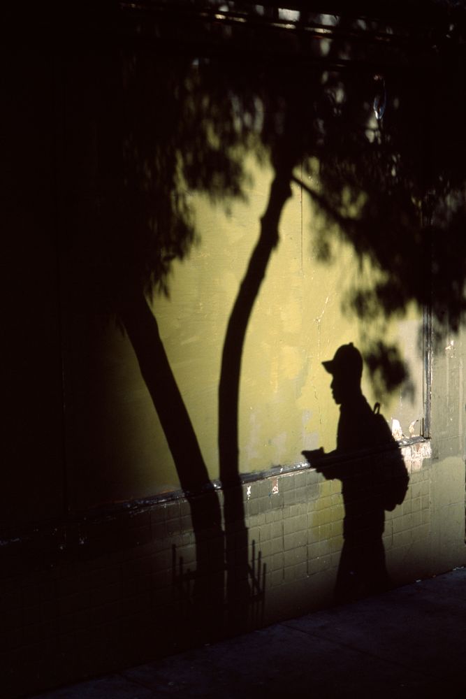 Shadow Self & Projection