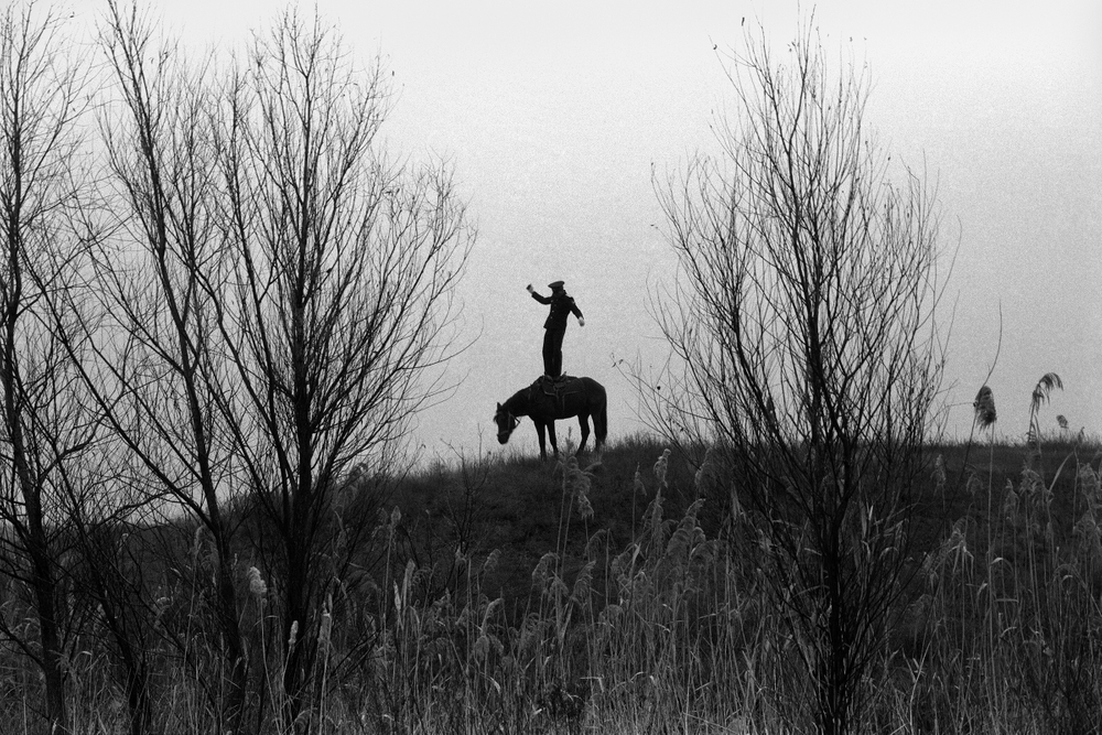 The Don steppe