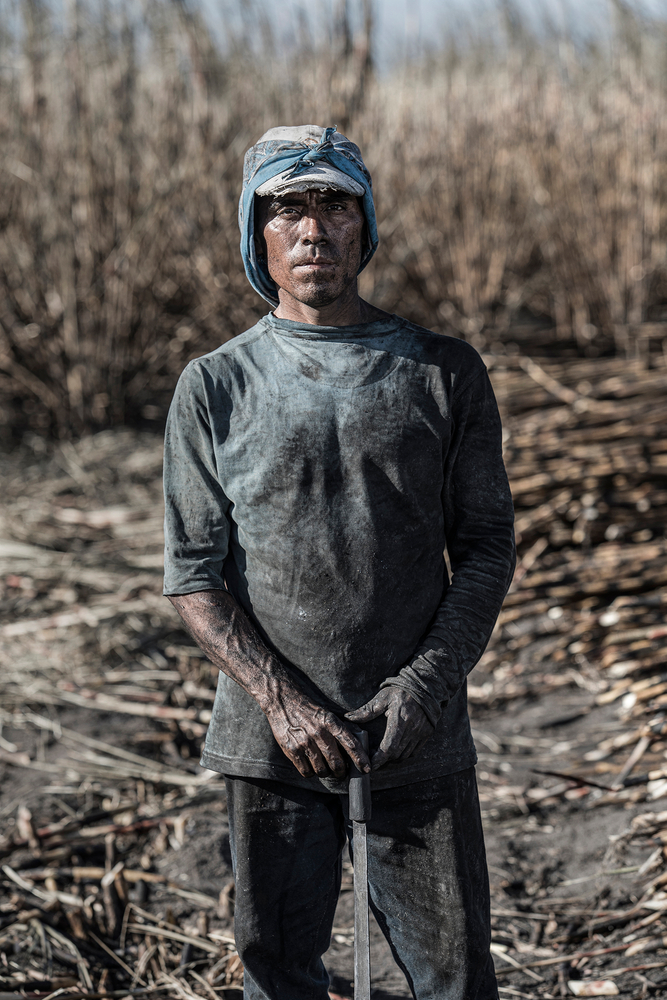 Portraits of mexican workeres