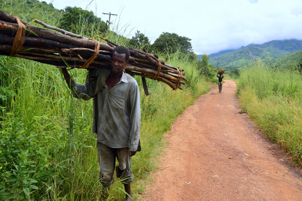 Malawi's Forests Are Coming Back to Malawi