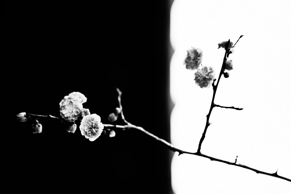 Imaginations from Escapades