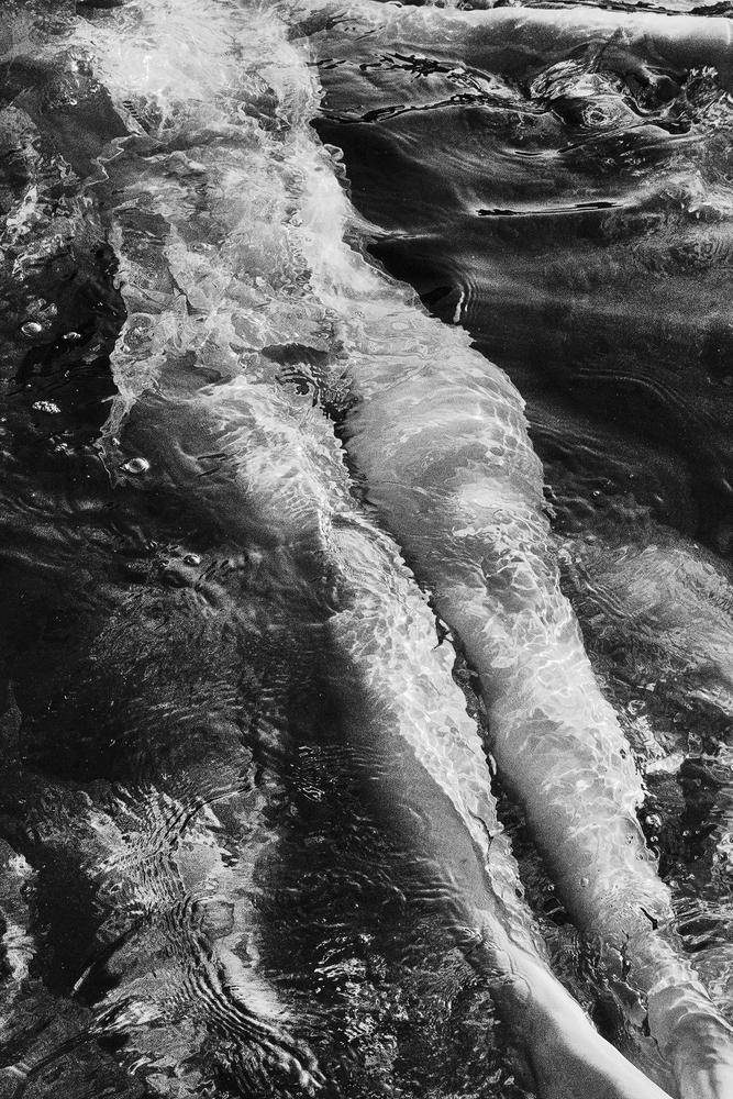 Forms by Forms