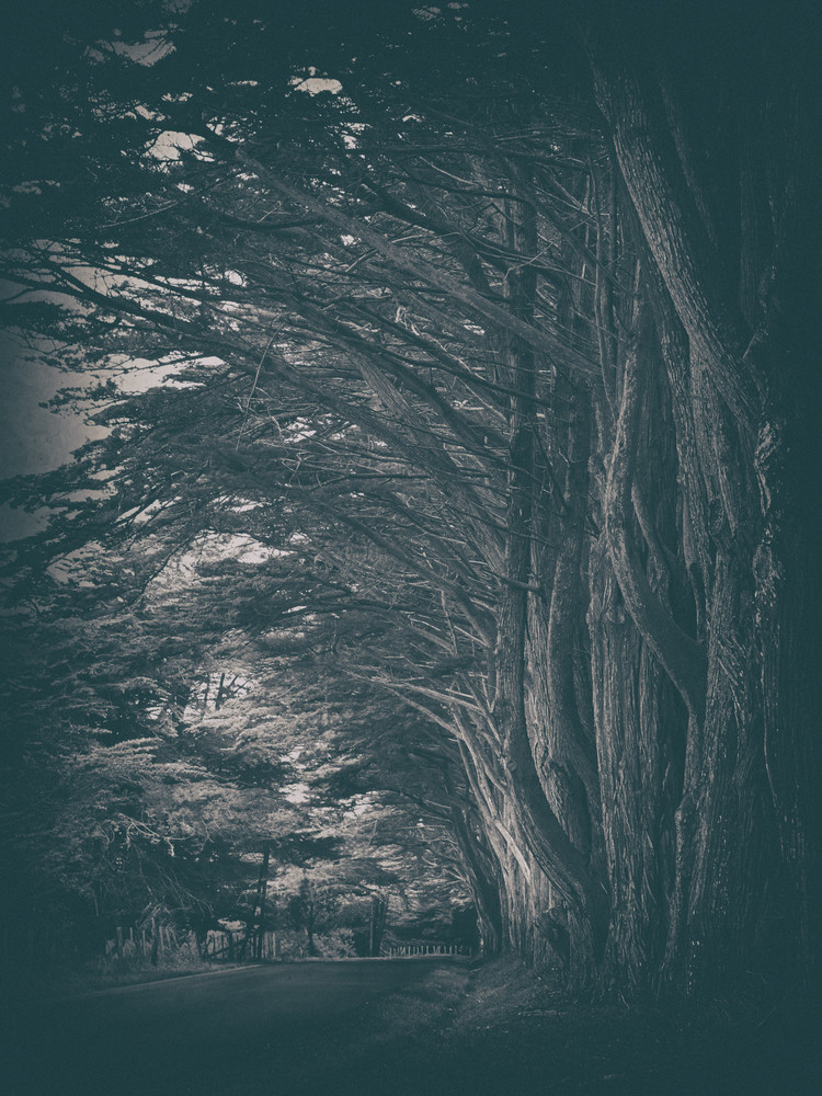 Old Grove Road (Series)