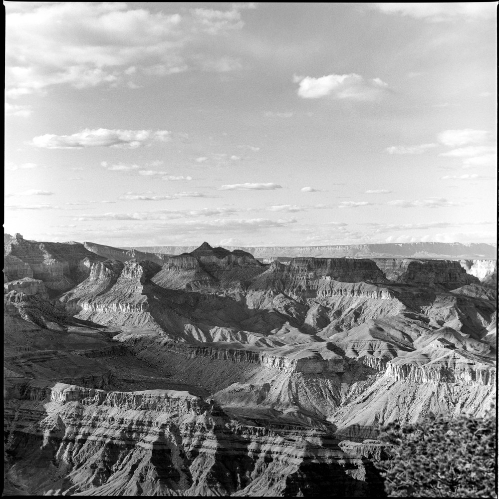 Black and White Landscapes