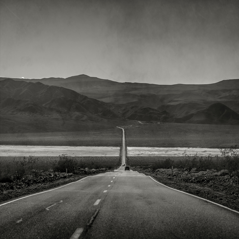 Californian Noir
