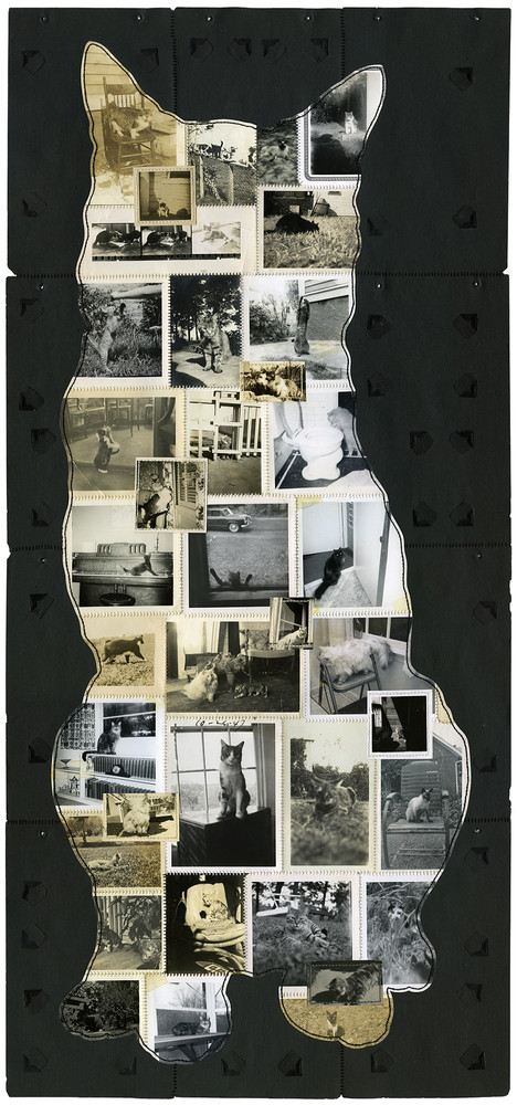 work from six different ongoing found photo series: silhouette, Remember me, PPE mask, maxim, blackout, symbol