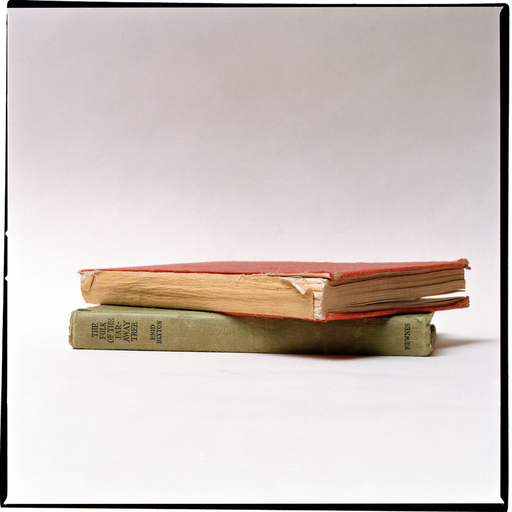 taxonomy of forgetting