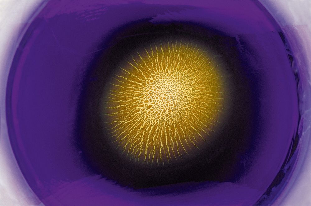 Cosmic Mandala