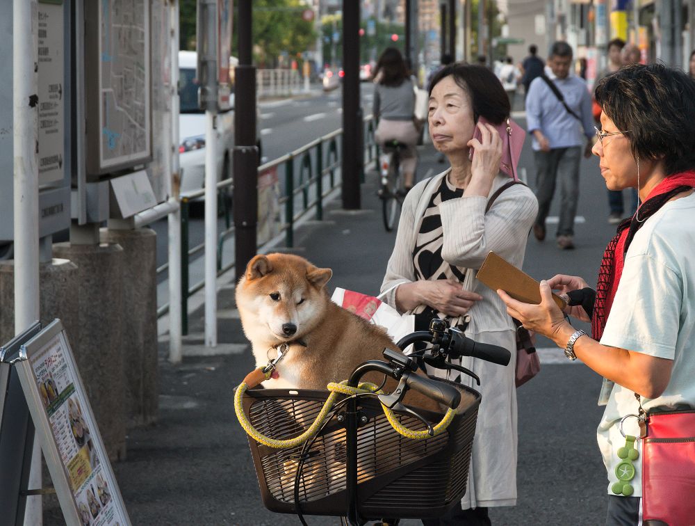 Tokyo walks