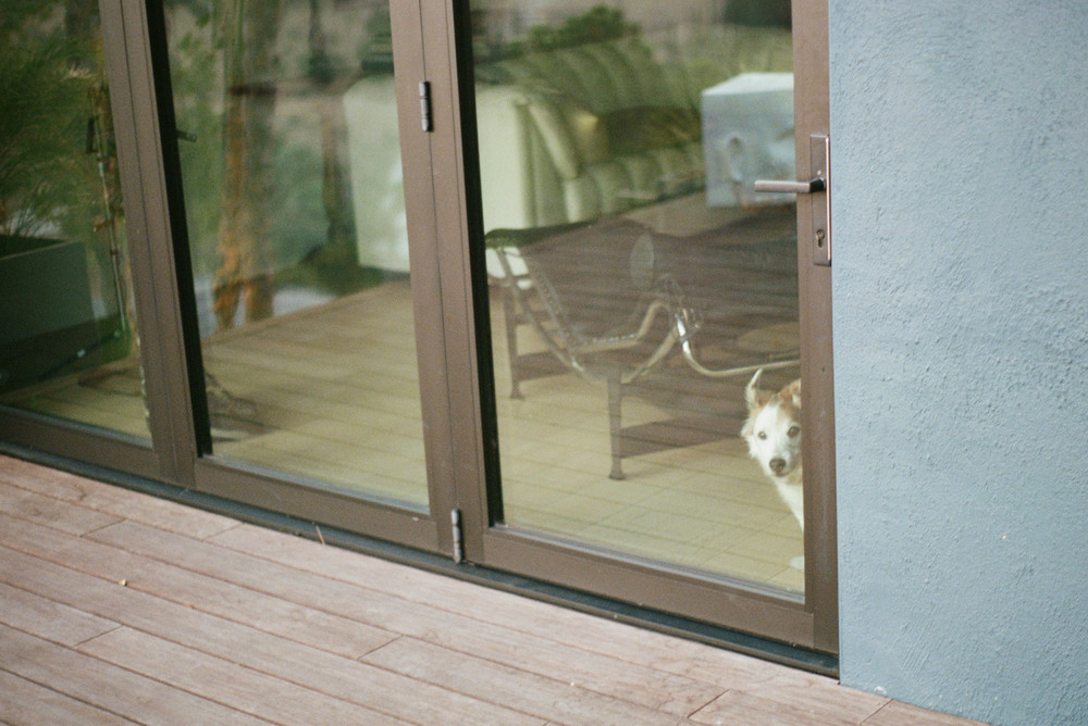 Ross Landsman Portraits LensCulture