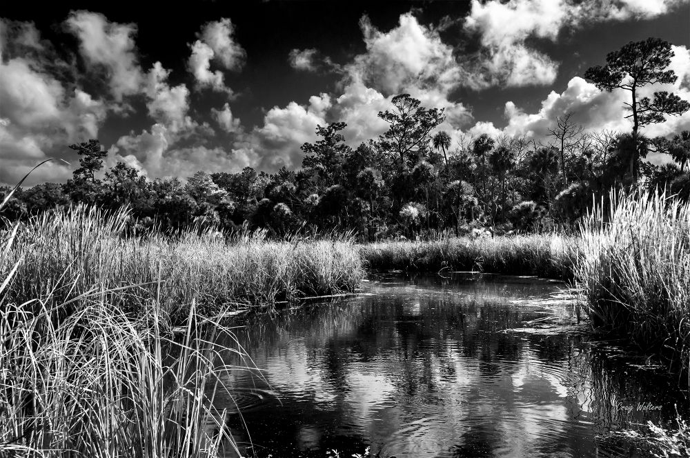 Lower Suwannee National Wildlife Refuge