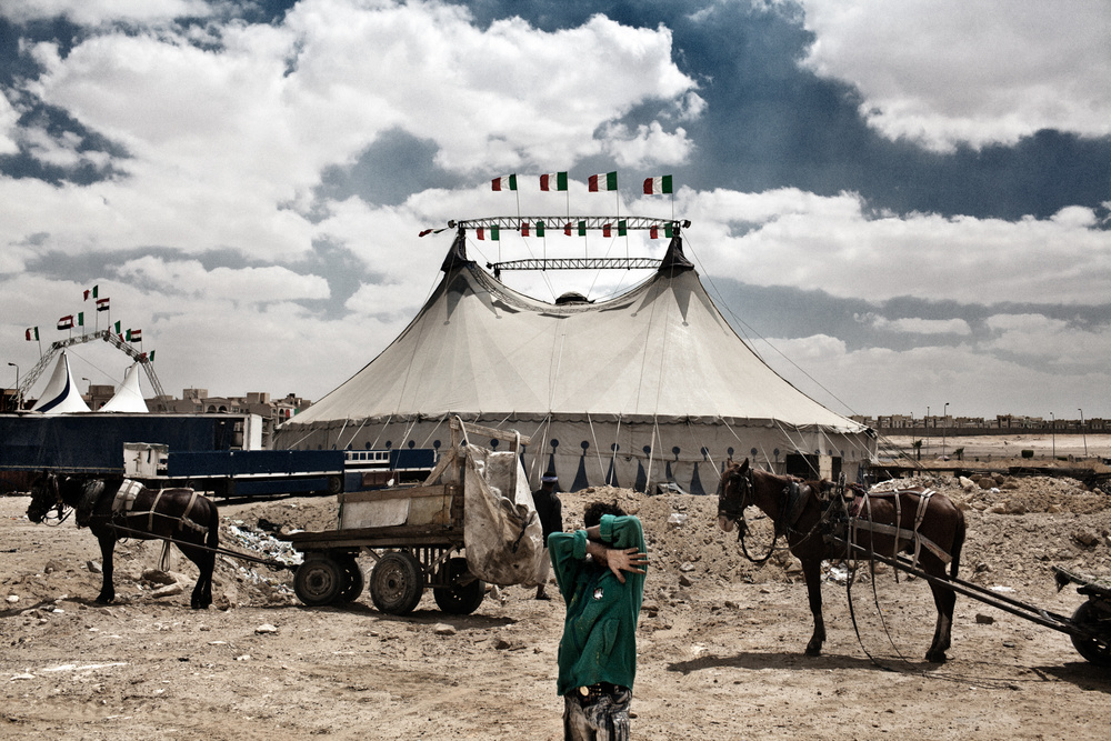 Circus Revolution