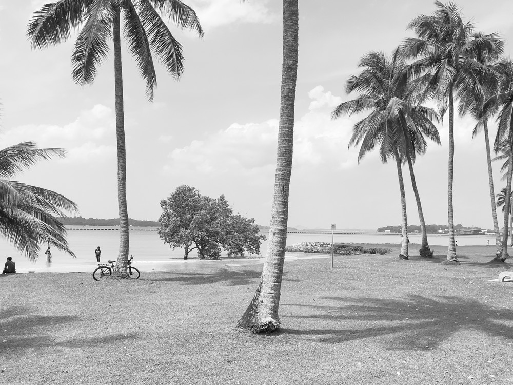 Muted Equator