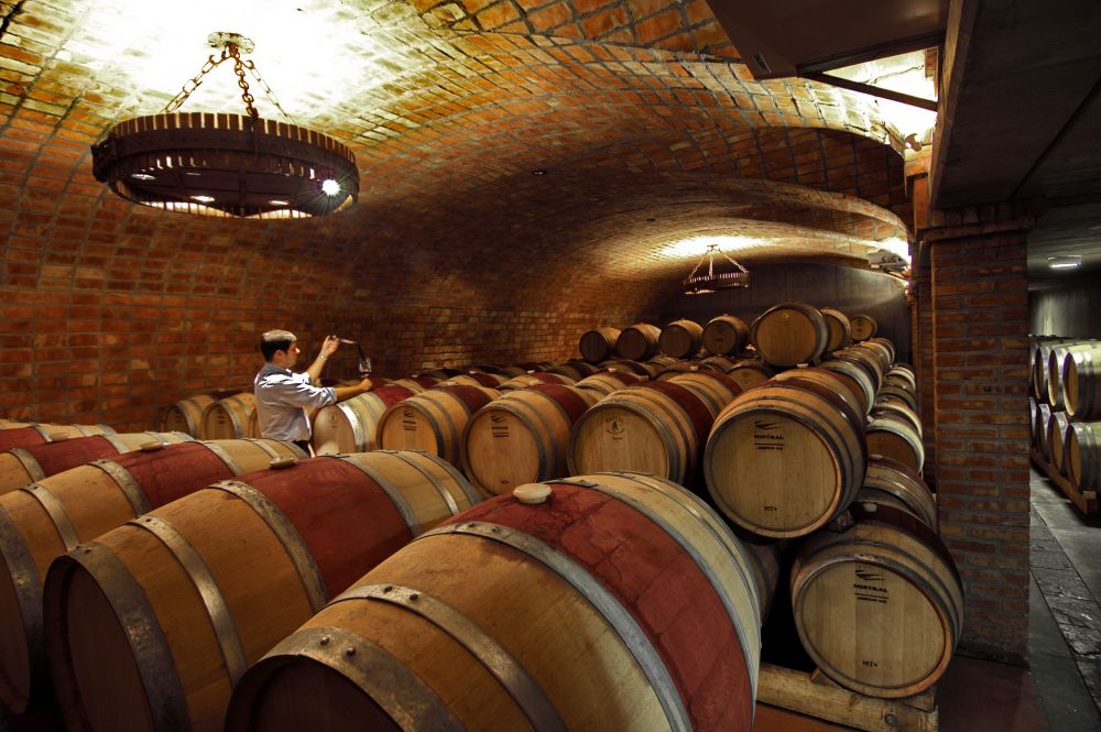 Argentina's Wine World