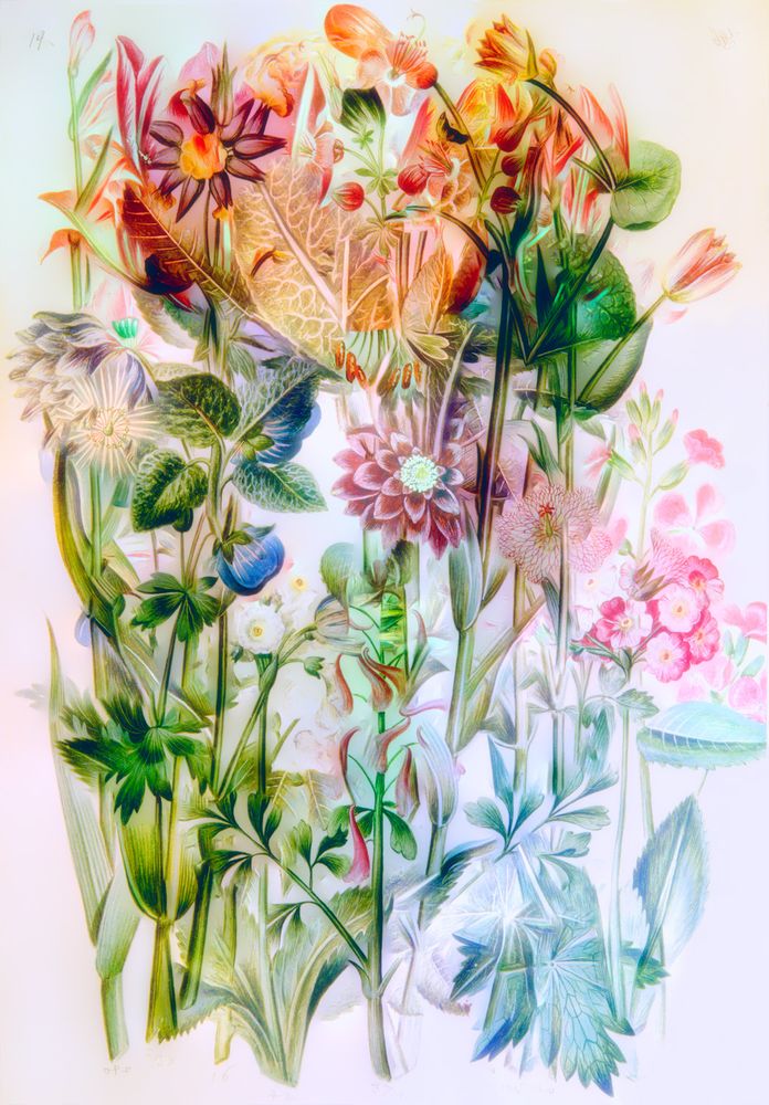 Larry Chait Virtual Bouquets from The Green Florilegium LensCulture