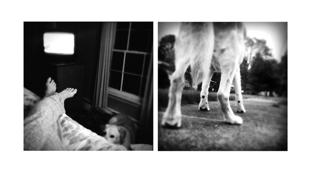 Benny Was A Good Boy