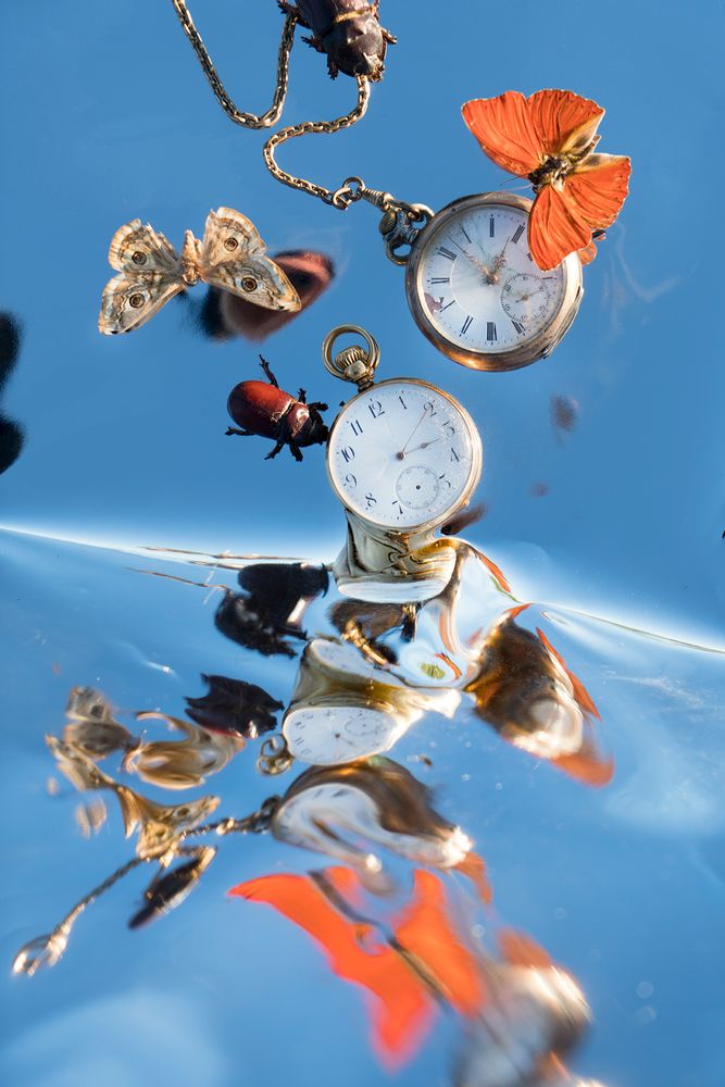 Kaleidoscopic Still Life
