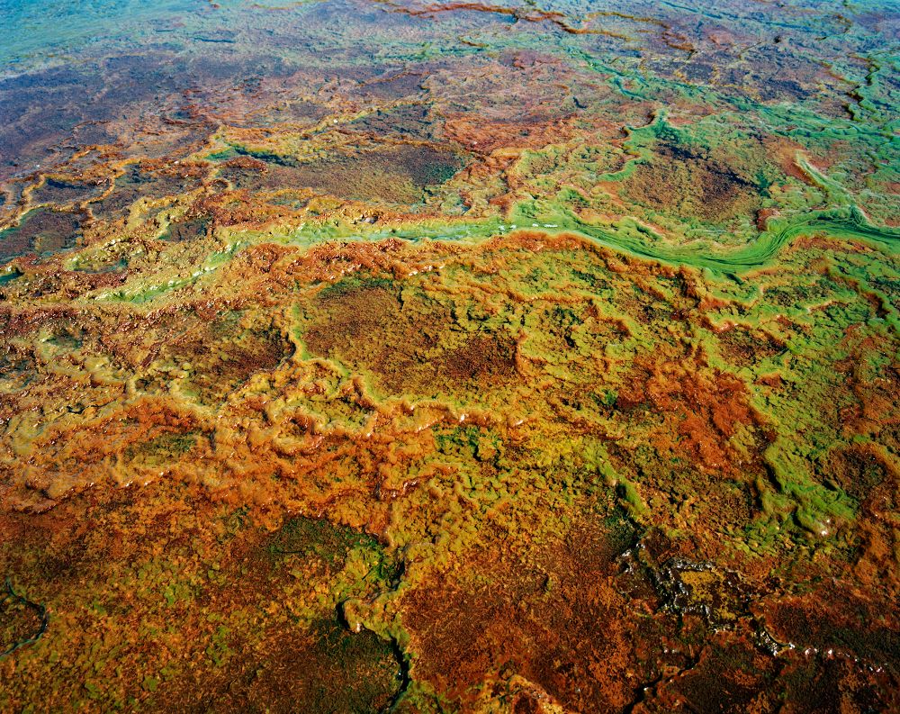 Legacy of the Mine