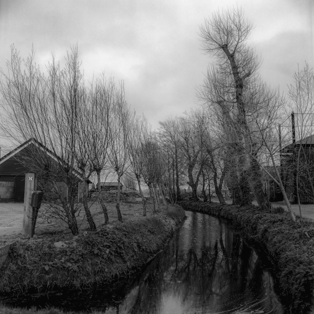Flachlandwege