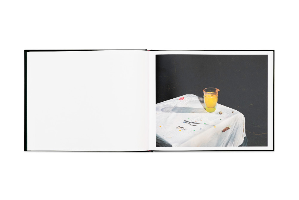 Spread from "Plates I-XXXI" © Lia Darjes/Chose Commune