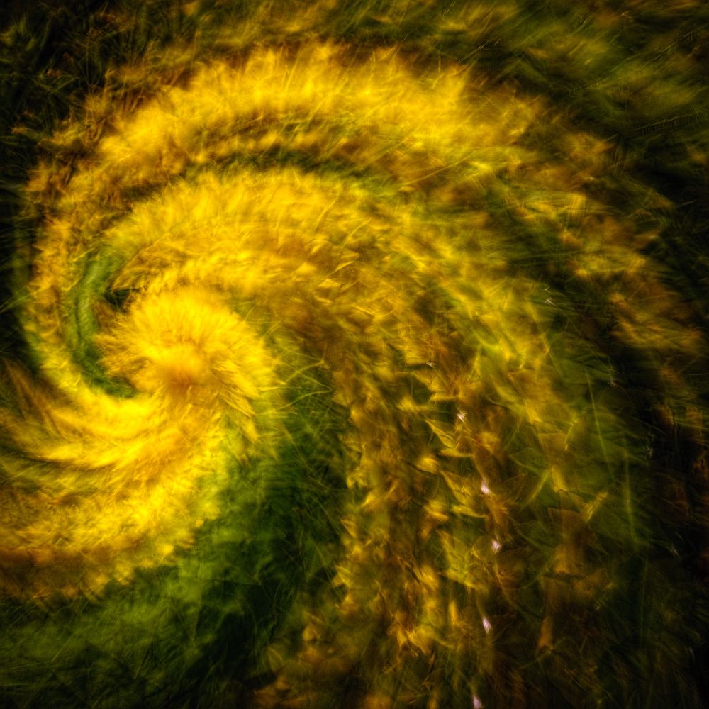 Interrupted Movement