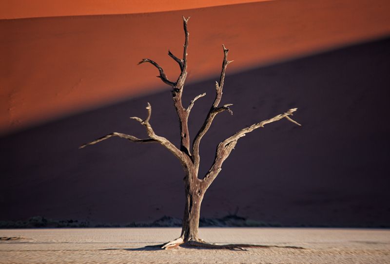 E L E M E N T S |   Sossusvlei