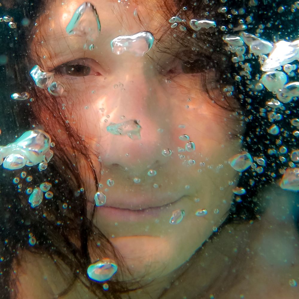 What the Ocean Sees