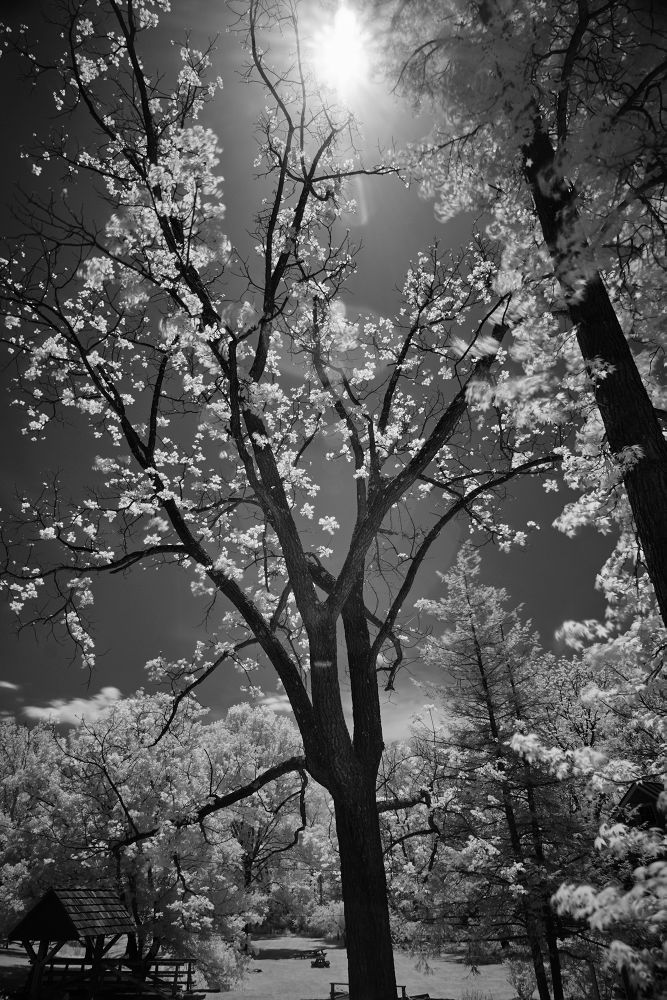 Burwell Morgan Mill in Infrared