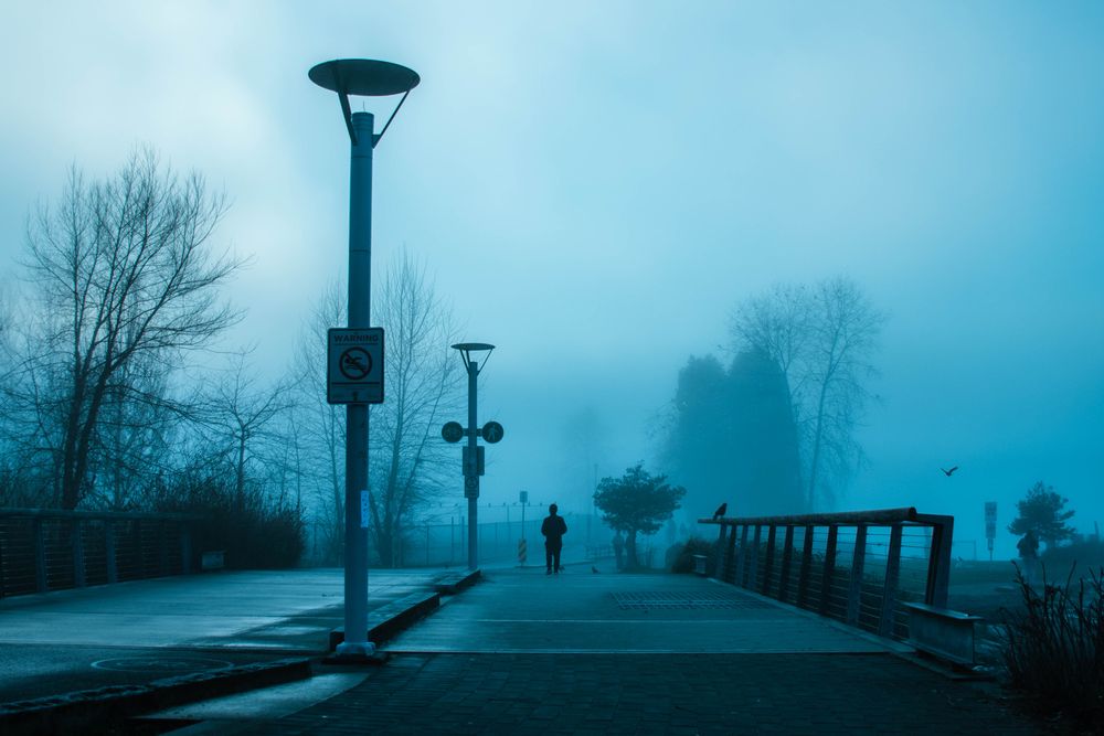 Distant Memories