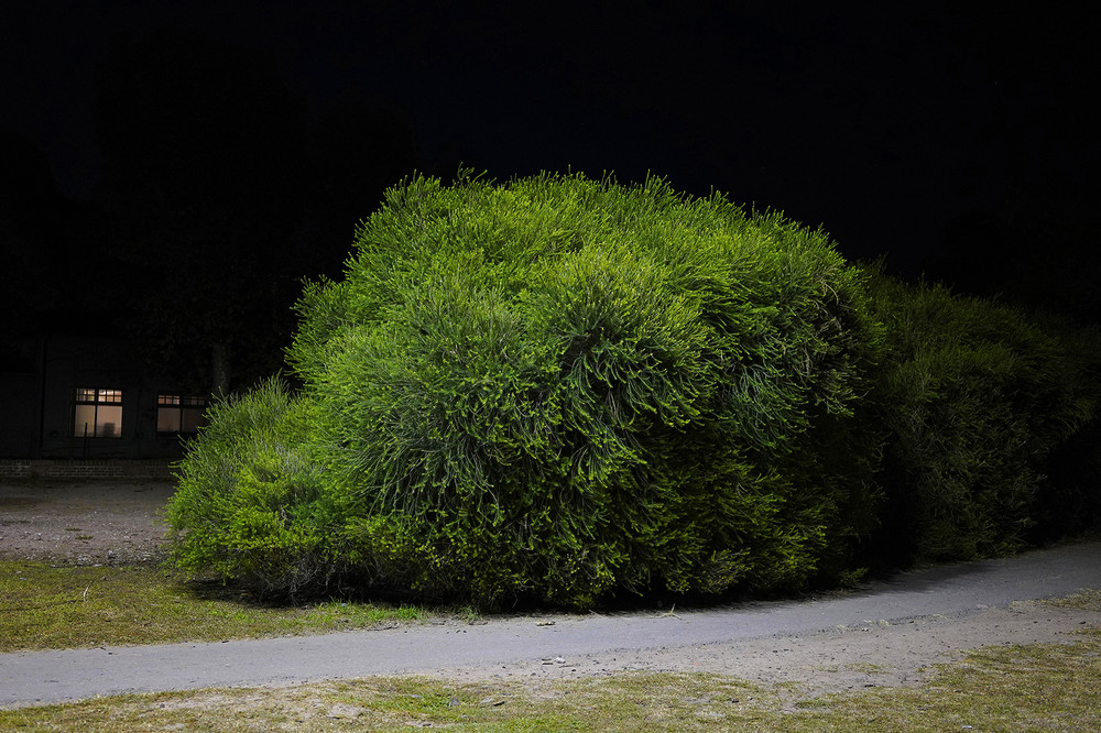 Nearby landscapes