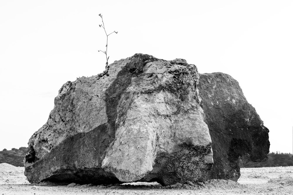 No Man's Land