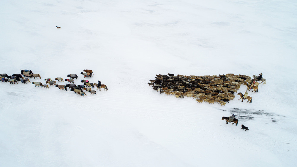 Migrants in Mongolia