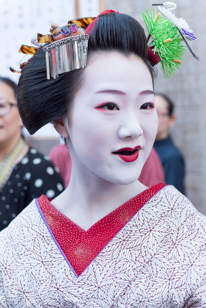 Tomitae's Journey
