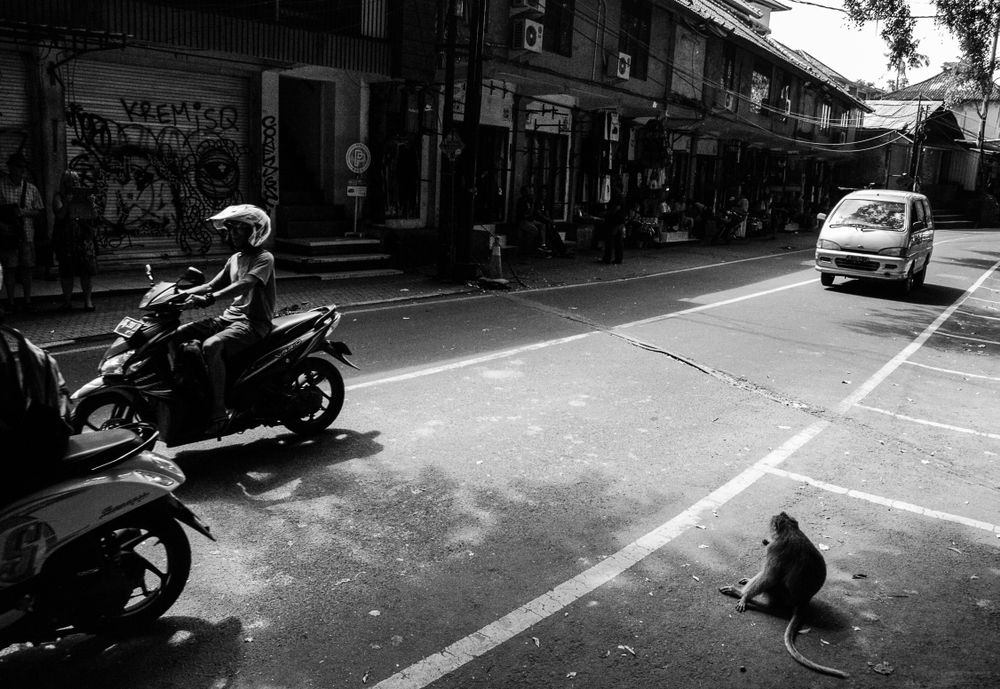 Bali: A wanderer's look