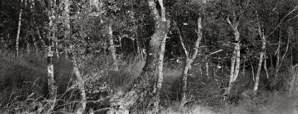 Lazarus Gitschner revisited