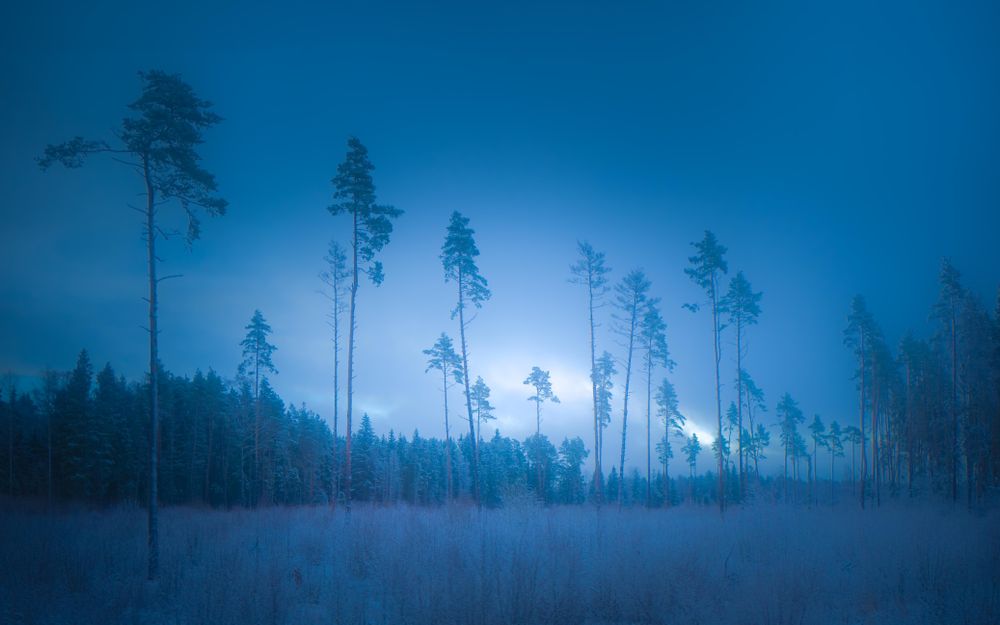 A Baltic journey
