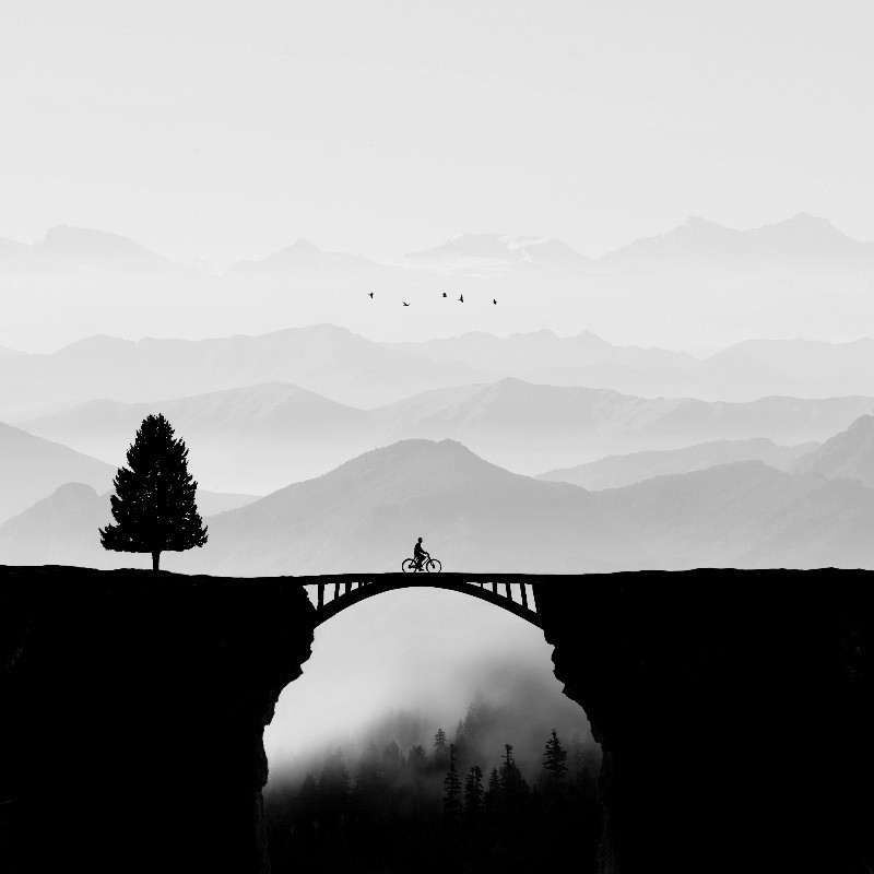 dream